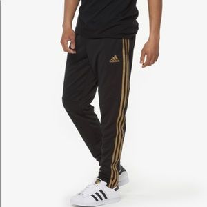 Adidas Tiro 19 Pants in Black/Gold